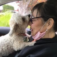 Jan JC Hatch's profile image