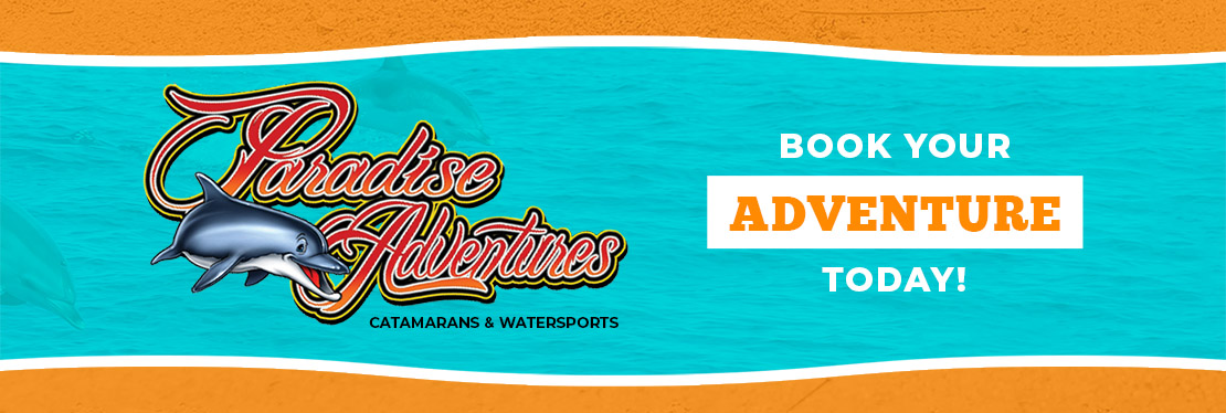 Paradise Adventures's cover image