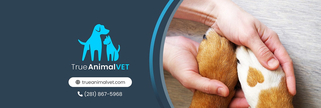 True Animal Vet's cover image