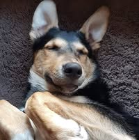 Jim Vetor's profile image