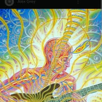 Stephan Nieto's profile image