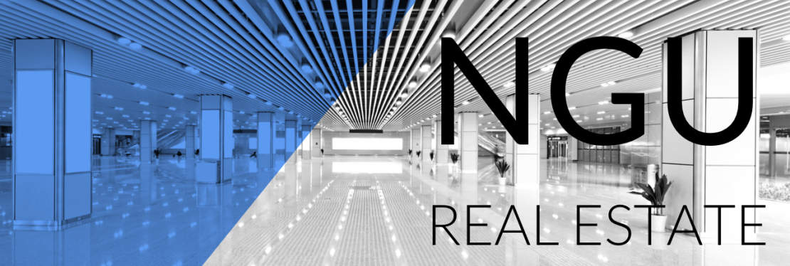 NGU Real Estate Greater Springfield's cover image