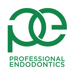 6. Professional Endodontics