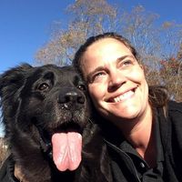 Holly White's profile image