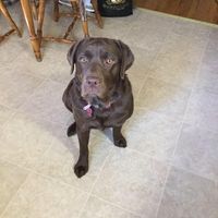 Nancy Young's profile image