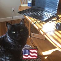 Brandee Helbick Franciosi's profile image