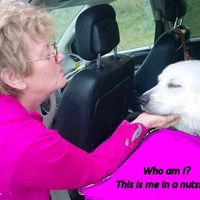 Diane West's profile image