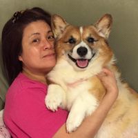 Lydia Chow's profile image