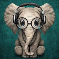 Randi Leonard Rezendes's profile image
