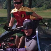 Ed Freedman's profile image