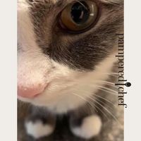 Stacey Marie's profile image