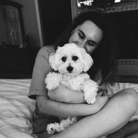 Sydney Lee's profile image