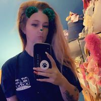 Jamie Lee's profile image