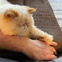 Paul G. Eberhart's profile image