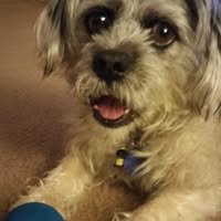 Dee Lynn's profile image