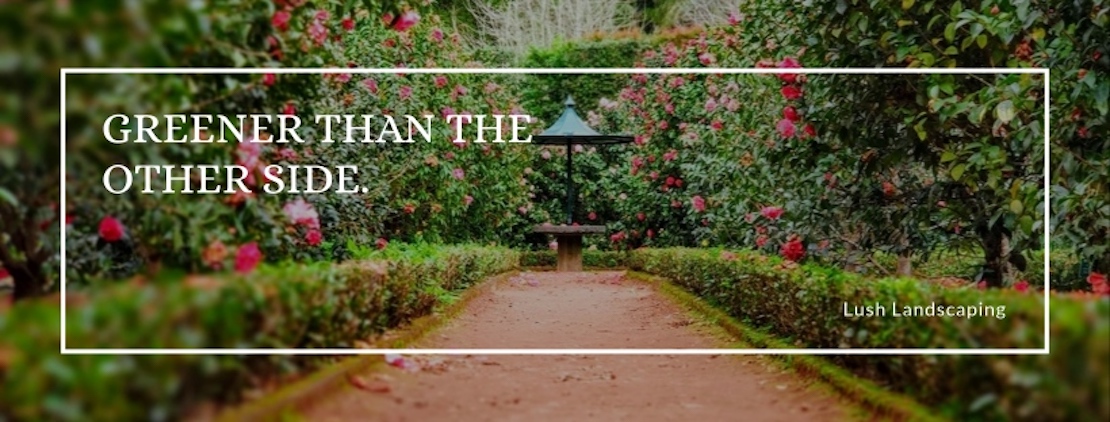 Lush Landscaping Centerville's cover image