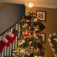 Heather Bailey's profile image