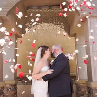 Melissa Sigler's profile image