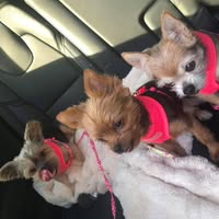 Nancy Price Ridzon's profile image