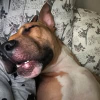 Joy Coleene Hohmann's profile image