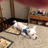 Bill Stalter's profile image