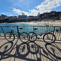 Lorenzo Holguin's profile image