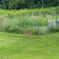 Sue Beilman's profile image