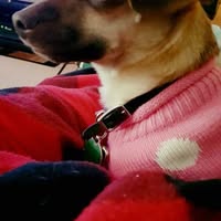 Holy Harvey-sanders's profile image