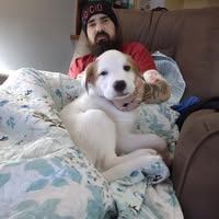 Sheila Brayboy's profile image