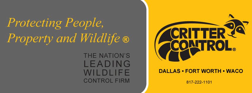 Critter Control