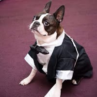 Michele Byrne Lombardo's profile image