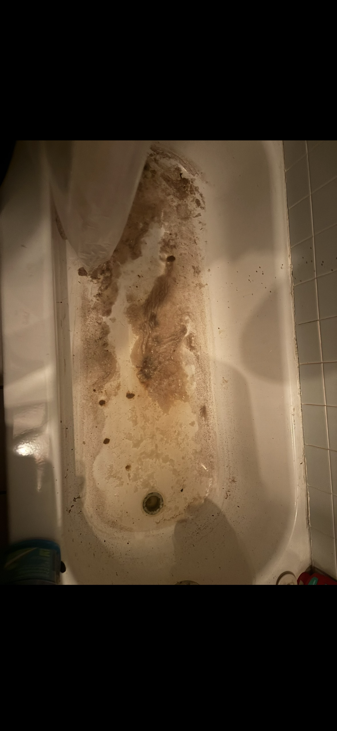 Erin C.'s post 1