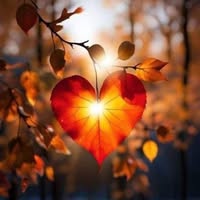 Elizabeth Camacho's profile image