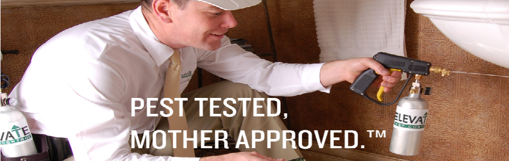 Elevate Pest Control