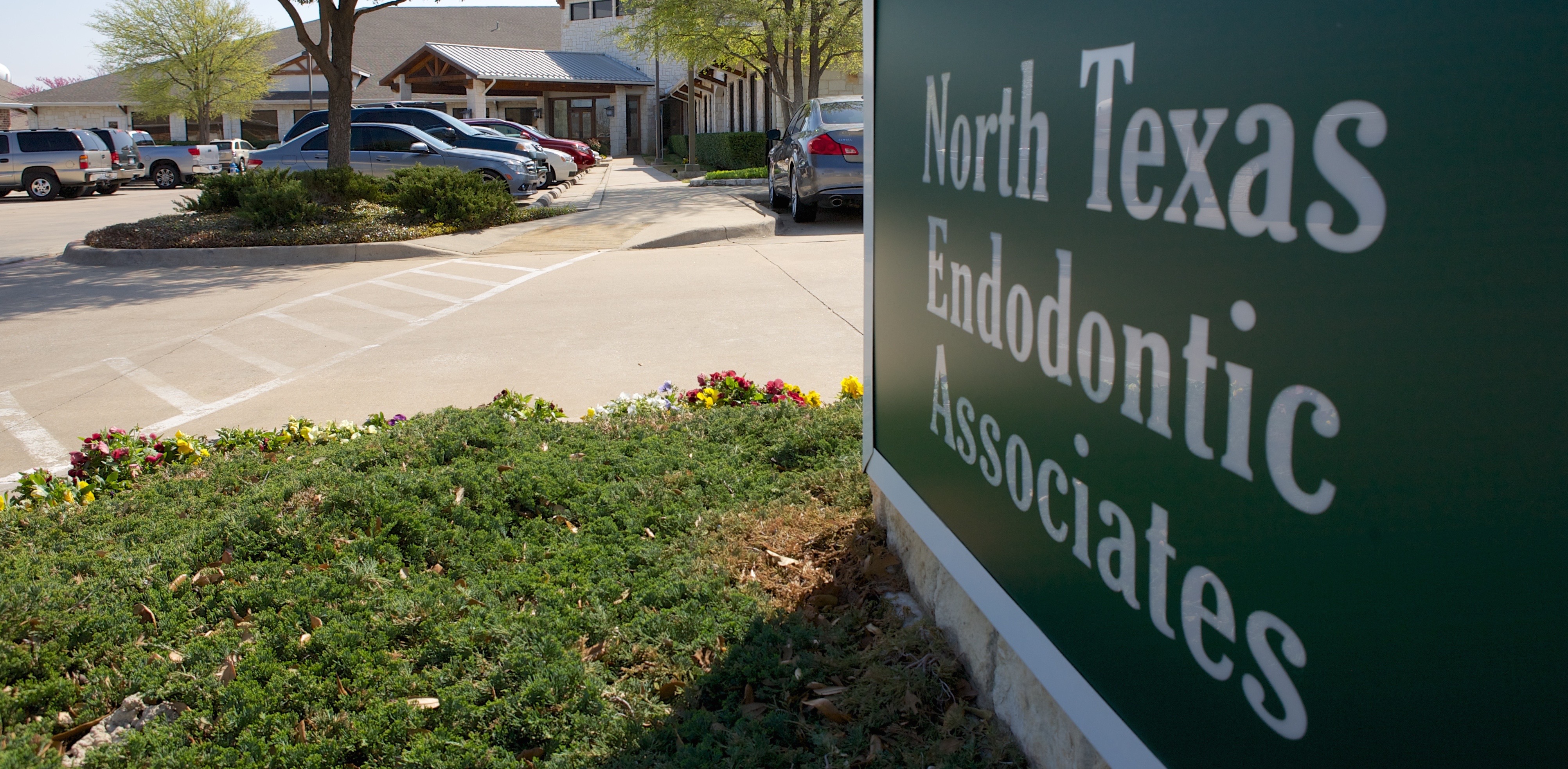 North Texas Endodontic Associates's cover image