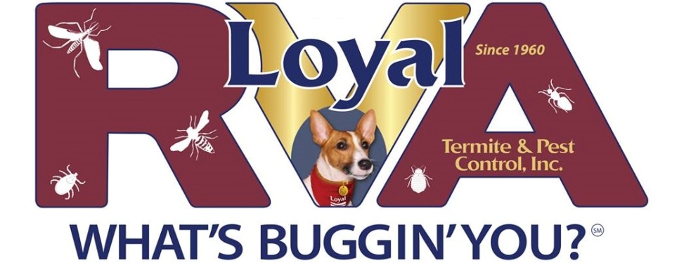 Loyal Termite & Pest Control Co., Inc.