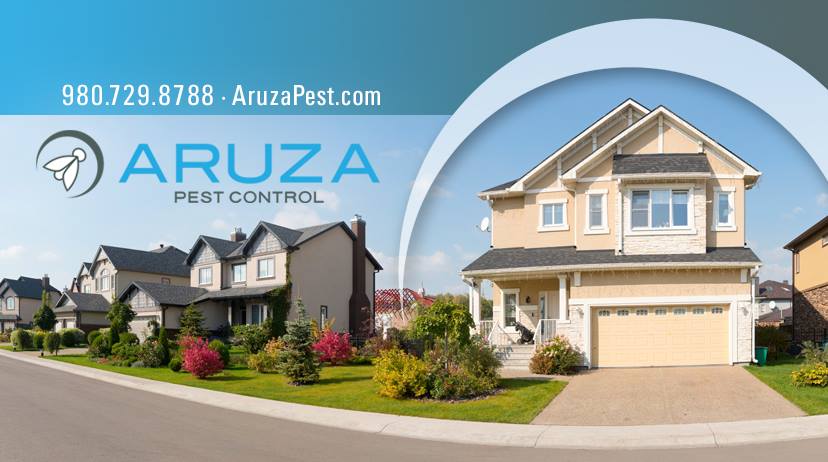 Aruza Pest Control's cover image