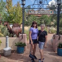 Carole Chadwick's profile image