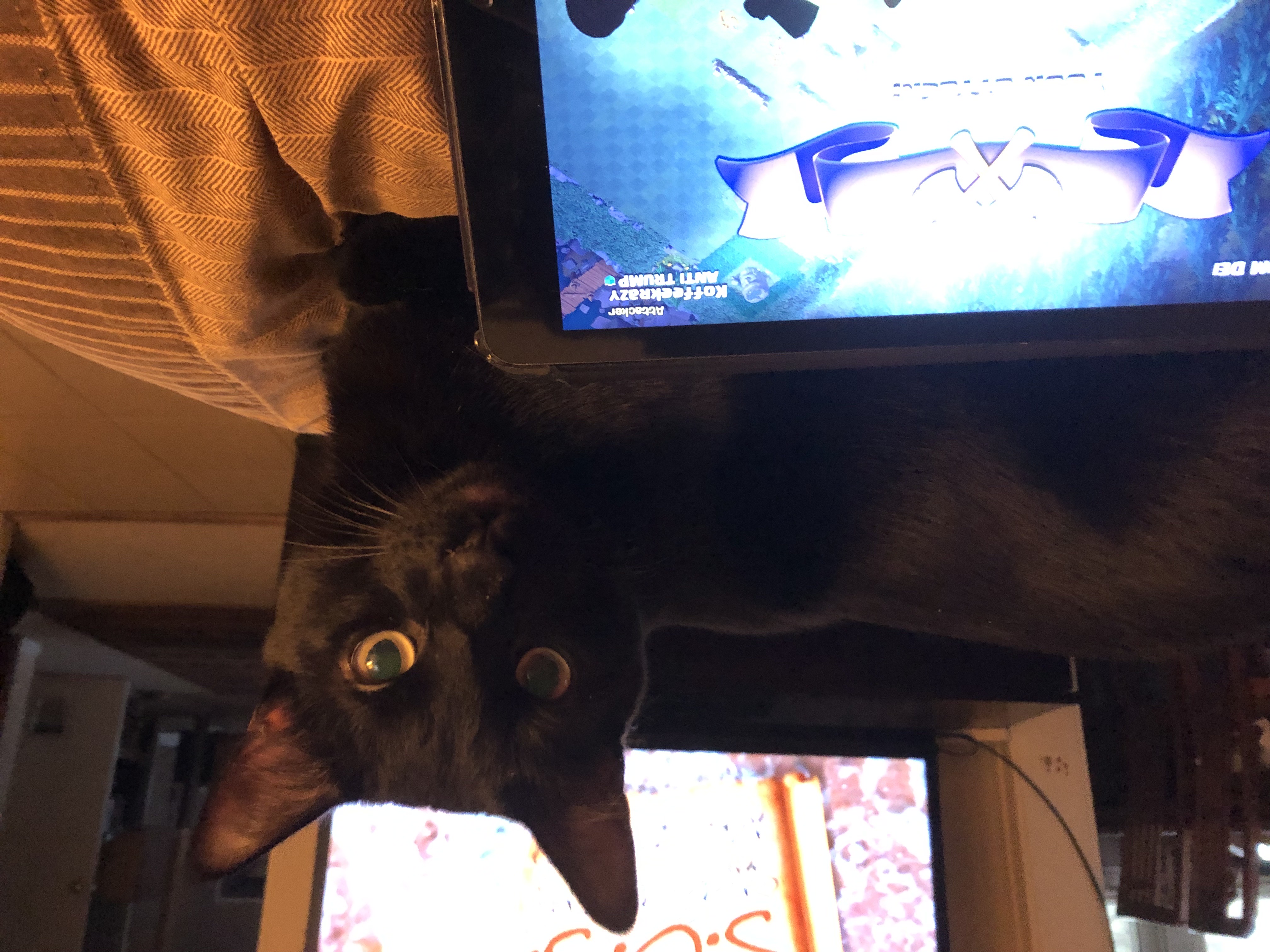 Polly P.'s post 3