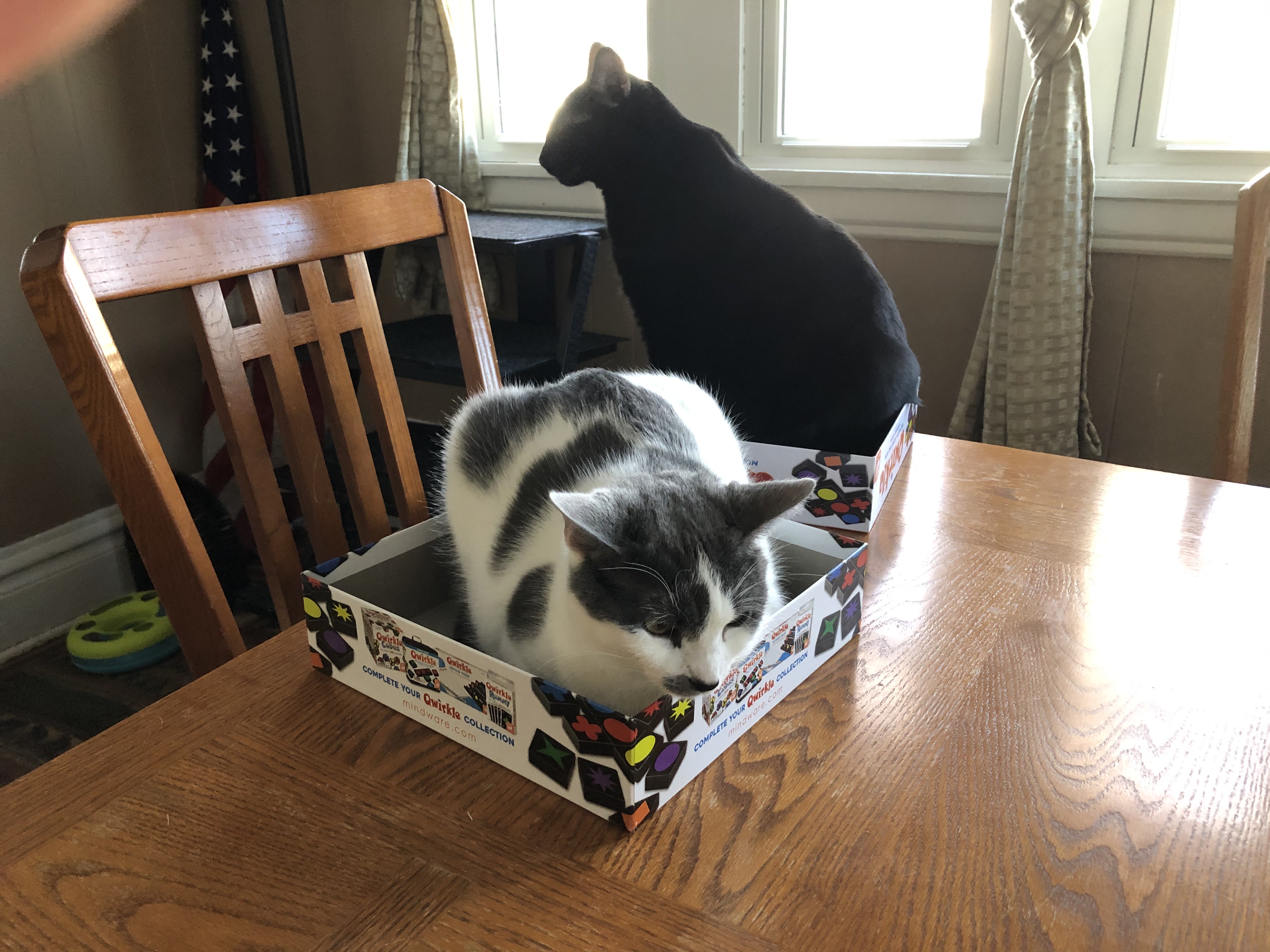 Polly P.'s post 2
