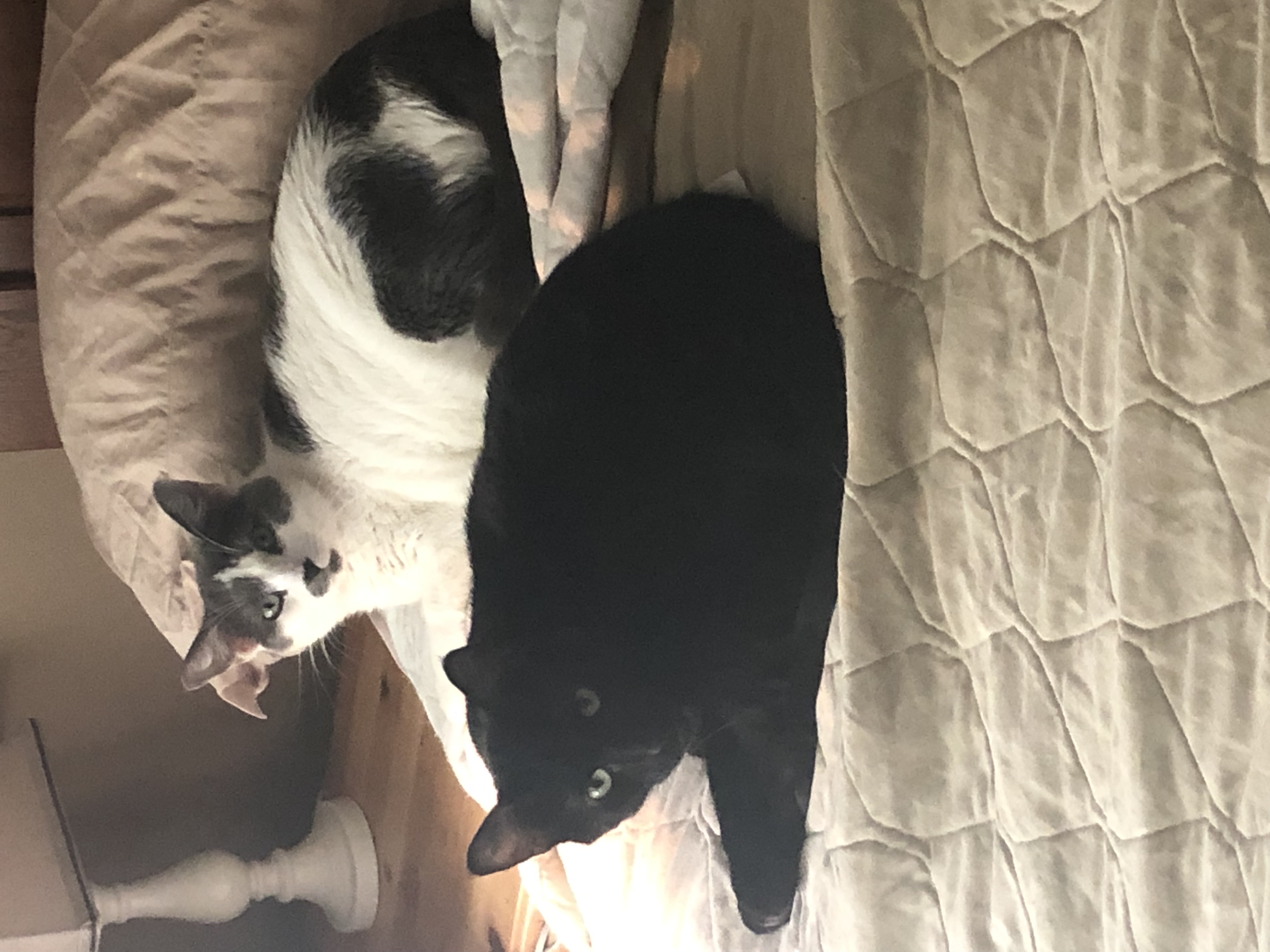 Polly P.'s post 1