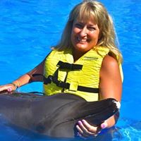 Dara Stambaugh's profile image