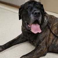 Cassi Ferris's profile image