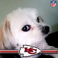 Michelle Peace's profile image