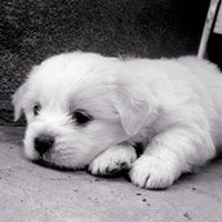 Chuy Mtz's profile image