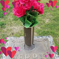 Laura Jean's profile image