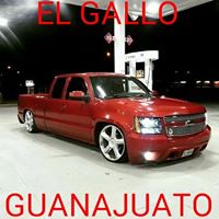 EL Gallo D Celaya's profile image