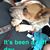 Carmen Sowels's profile image