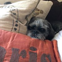 Crystal Dormuth's profile image