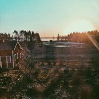 Ash Riihimäki's profile image